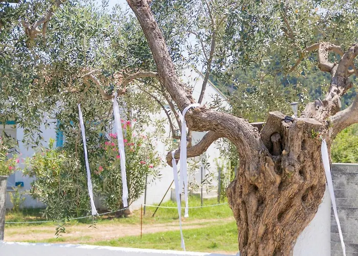 Lejlighed Mikres Kyklades Skala Potamia (Thasos)