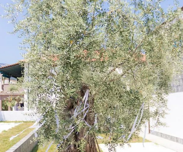 Lejlighed Mikres Kyklades