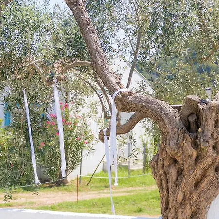 Appartement Mikres Kyklades Skala Potamia (Thasos)