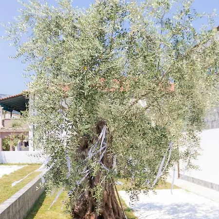 Appartement Mikres Kyklades